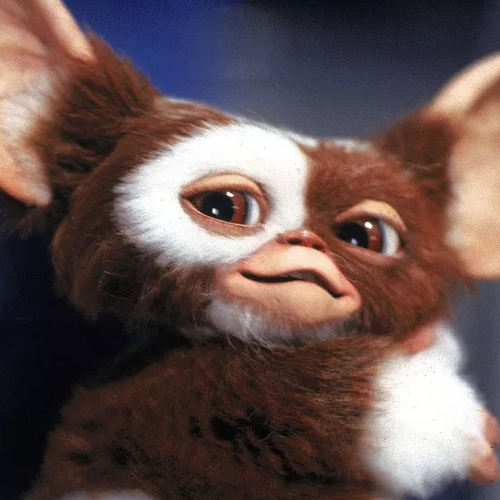 GIZMO